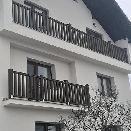 Casa Carmen Hotell Poienile Izei Exteriör bild